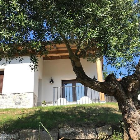 Vila La Casina Del Olivo Ribadesella Exteriér fotografie