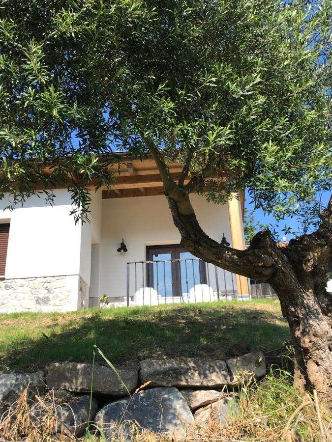 Vila La Casina Del Olivo Ribadesella Exteriér fotografie