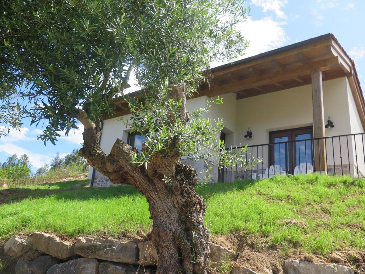 Vila La Casina Del Olivo Ribadesella Exteriér fotografie