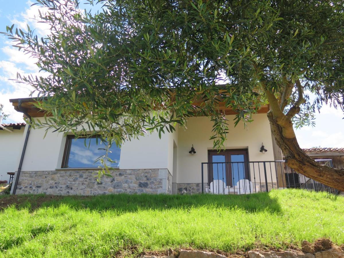 Vila La Casina Del Olivo Ribadesella Exteriér fotografie